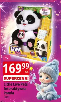 E.Leclerc Panda interaktwyna little live pets Cobi oferta