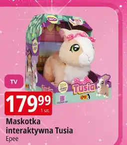 E.Leclerc Królik tusia Epee oferta
