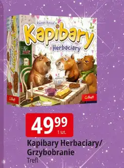 E.Leclerc Gra grzybobranie z rodziną treflików Trefl oferta