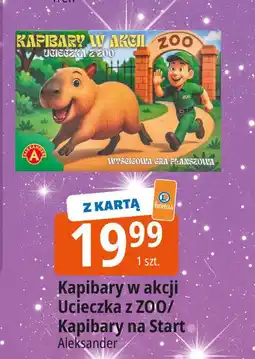 E.Leclerc Gra kapibary na start Alexander oferta