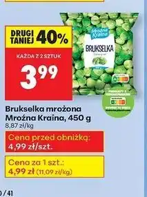 Biedronka Brukselka Mroźna Kraina oferta