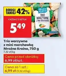 Biedronka Trio warzywne Mroźna Kraina oferta