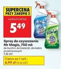 Biedronka Spray do kabin przysznicowych Mr Magic oferta