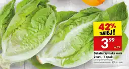 Twój Market Sałata rzymska mini 2 szt., 1 opak. Twój Market oferta