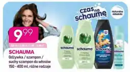 Koliber drogerie Schauma odżywka / szampon / suchy szampon do włosów oferta