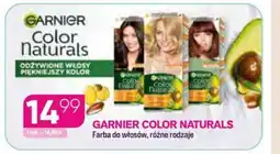 Koliber drogerie Garnier color naturals farba do włosów oferta