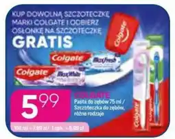 Koliber drogerie Colgate pasta do zębów / szczoteczka do zębów oferta