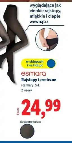 Lidl Rajstopy termiczne s-l Esmara oferta