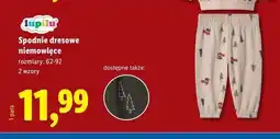 Lidl Spodnie niemowlęce 62-92 cm Lupilu oferta