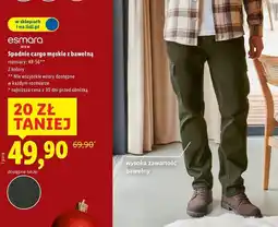 Lidl Spodnie męskie cargo Esmara Livergy oferta
