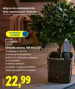 Lidl Girlanda solarna 100 led Livarno Home oferta