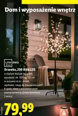 Lidl Drzewko led Livarno Home oferta