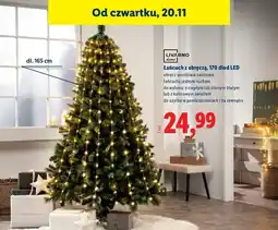 Lidl Łańcuch z obręczą 170 led Livarno Home oferta