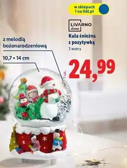 Lidl Kula śnieżna z pozytywka Livarno Home oferta