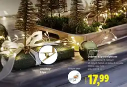 Lidl Klipsy świąteczne ptaszki Livarno Home oferta