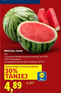 Lidl Arbuz mini oferta