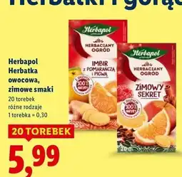 Lidl Herbata zimowy sekret Herbapol Herbaciany Ogród oferta