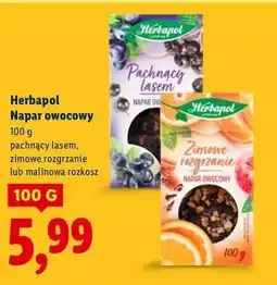 Lidl Napar owocowy malinowa rozkosz Herbapol oferta