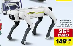 Carrefour Market Pies robot oferta