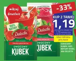 Hildebrandt Owocowy kubek 100% natury kisiel delecta oferta
