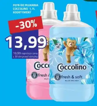 Hildebrandt Płyn do płukania coccolino oferta