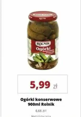 Torimpex Ogórki konserwowe oferta