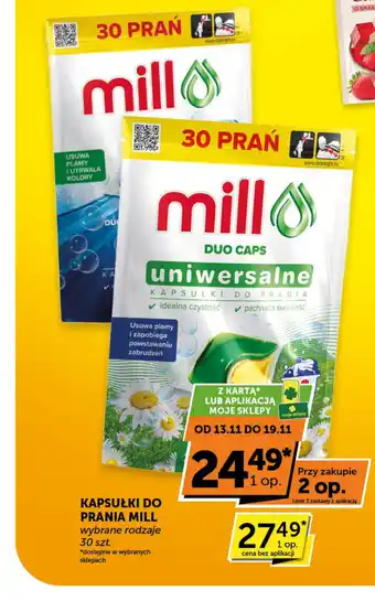 Groszek Kapsułki do prania mill oferta