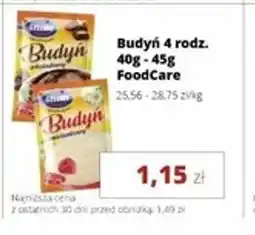 Torimpex Budyń oferta
