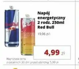 Torimpex Red Bull oferta