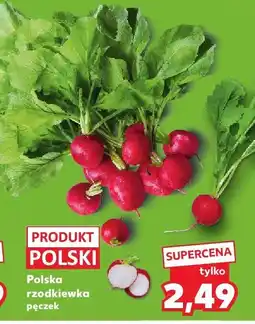 Kaufland Polska rzodkiewka pęczek Kaufland oferta