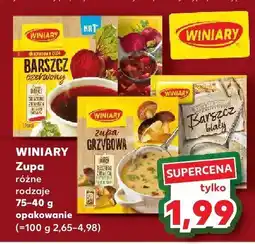 Kaufland Zupa różne rodzaje Winiary 75-40g oferta