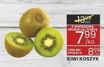 Wafelek Kiwi koszyk Wafelek oferta