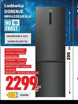 Neopunkt Lodówka GORENJE oferta