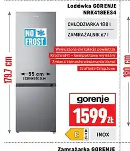 Neopunkt Lodówka GORENJE oferta