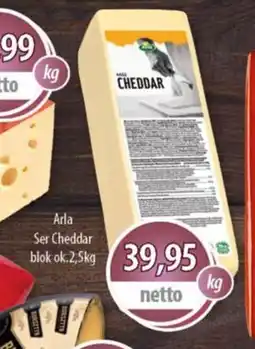 DUO-TES Ser Cheddar oferta