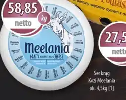 DUO-TES Ser krąg Kozi Meelania oferta