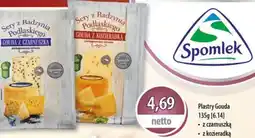 DUO-TES Plastry Gouda oferta