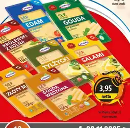 DUO-TES Ser Plasterki oferta