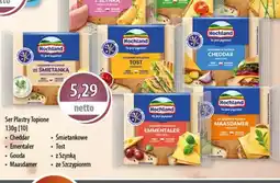 DUO-TES Ser Plastry Topione Hochland oferta