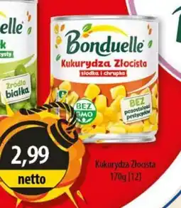DUO-TES Bonduelle Kukurydza Złocista oferta