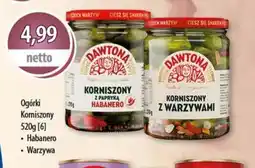 DUO-TES Ogórki Korniszony Dawtona oferta