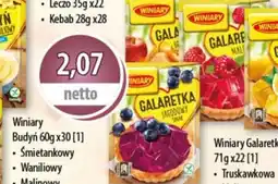 DUO-TES Winiary Budyń oferta