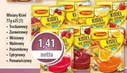 DUO-TES Winiary Kisiel oferta