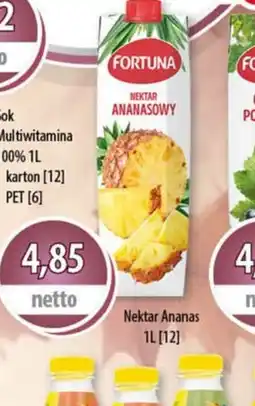 DUO-TES Nektar Ananasowy oferta