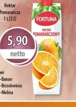 DUO-TES Fortuna Nektar oferta