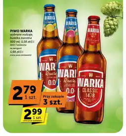 Groszek Piwo warka oferta