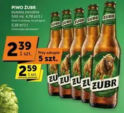 Groszek Piwo żubr oferta