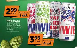 Groszek Piwo żywiec oferta