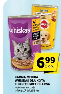 Groszek Karma mokra whiskas dla kota lub pedigree dla psa oferta