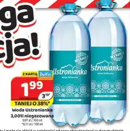 Delfin Woda Ustronianka oferta